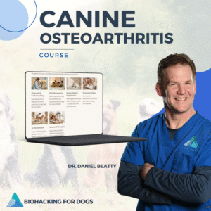 The Canine Osteoarthritis Course