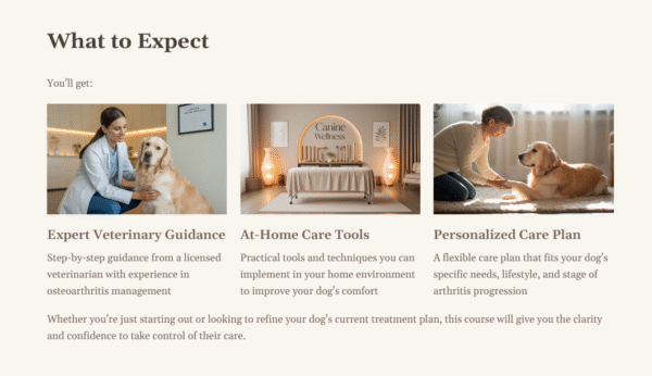 The Canine Osteoarthritis Course - Image 3