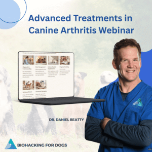 advanced. treatments in canine arthritis